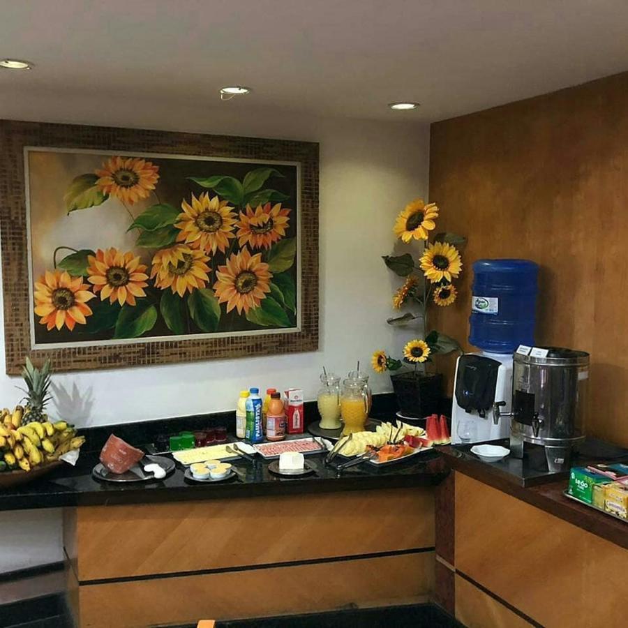 Horto Executivo Hotel Ipatinga Buitenkant foto